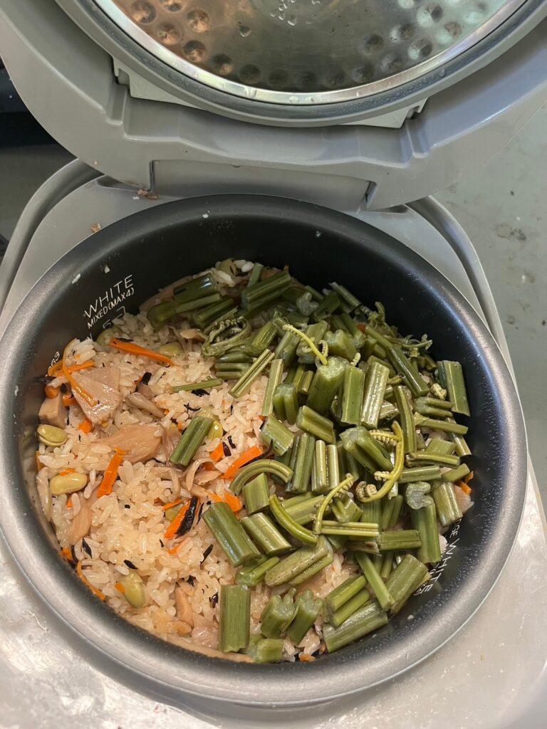 Mixed rice with Warabi shoot from the farm