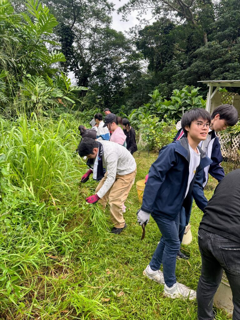 leaning natural agriculture