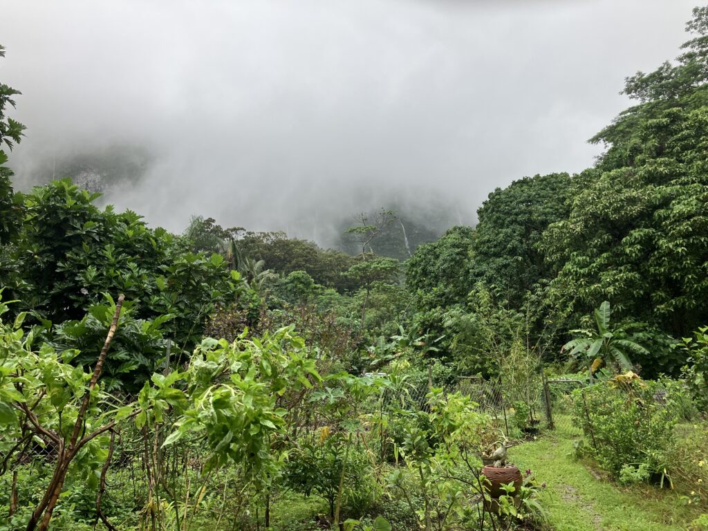 Right before the storm hits Oahu