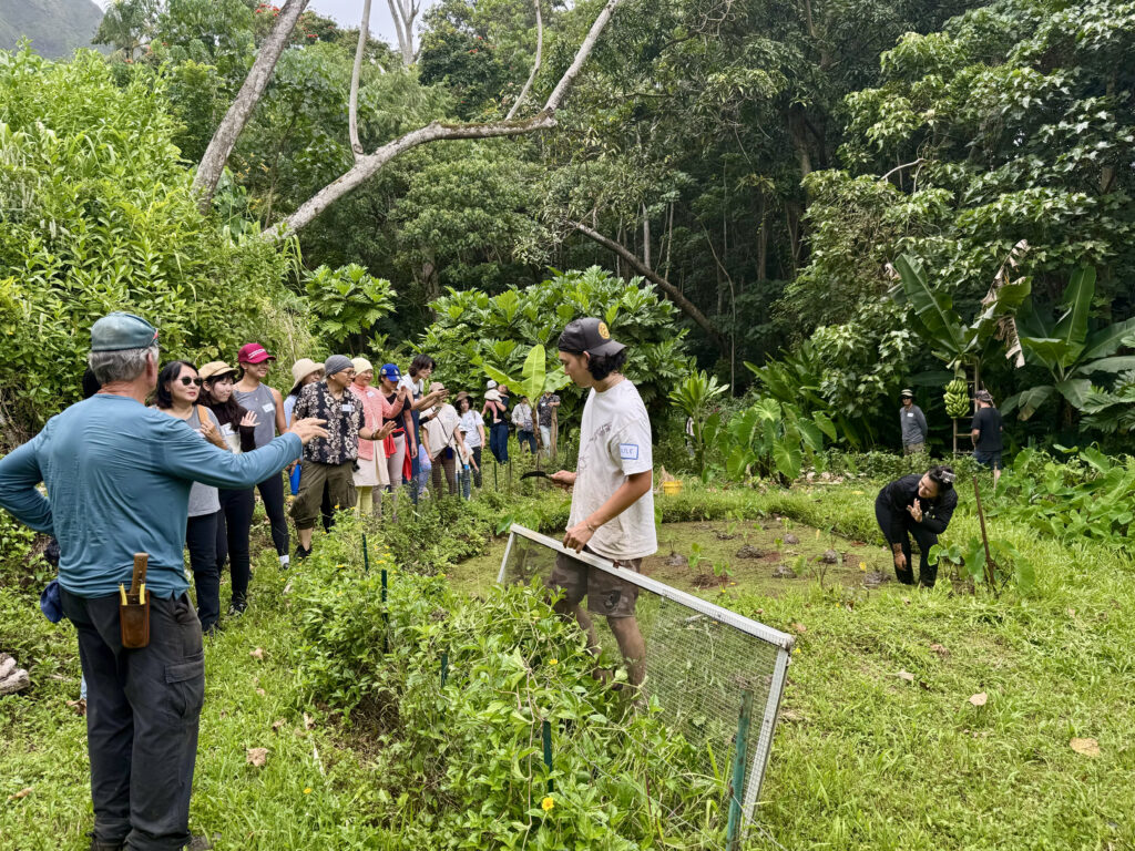 Briefing update of the farm