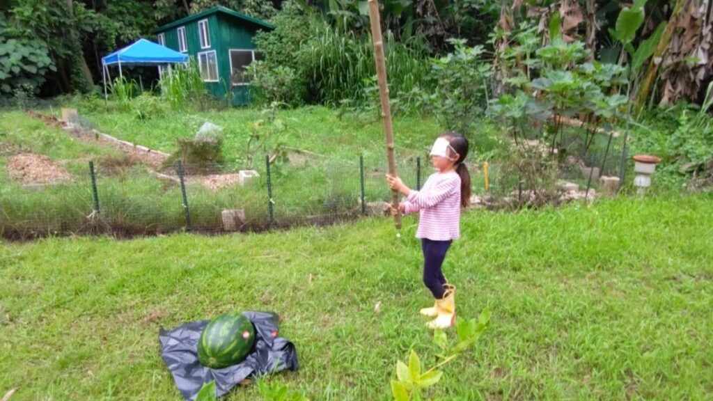 Serena at 5, challenging to smash watermelon
