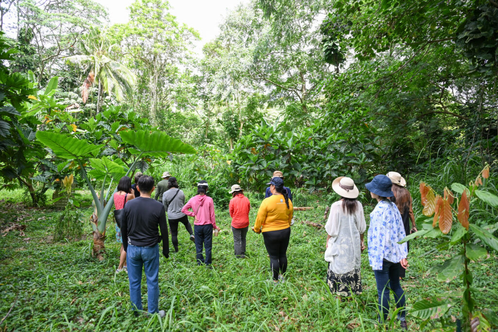 Mini trekking on the farm