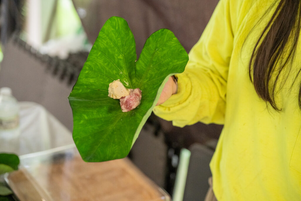 How to wrap ulu and meat with kalo leaf