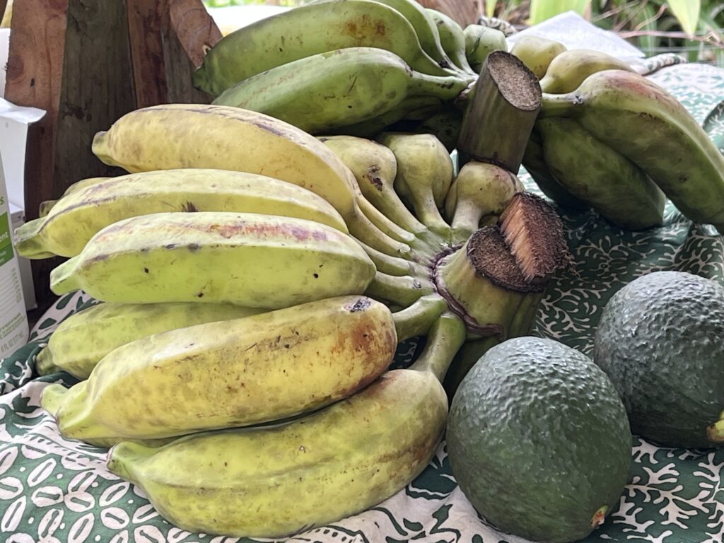 Second Nature Farm market