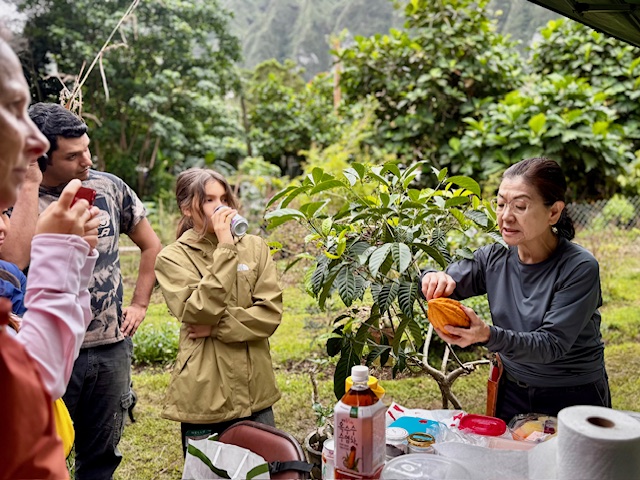 Showing how to process cacao to nib powder
