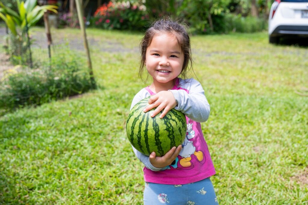 Let's play a watermelon splitting game!